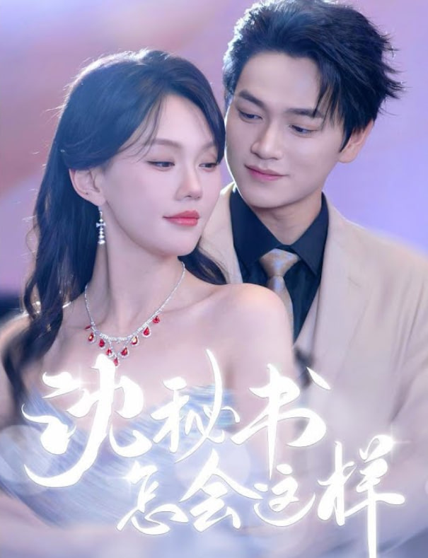 沈秘书怎会这样