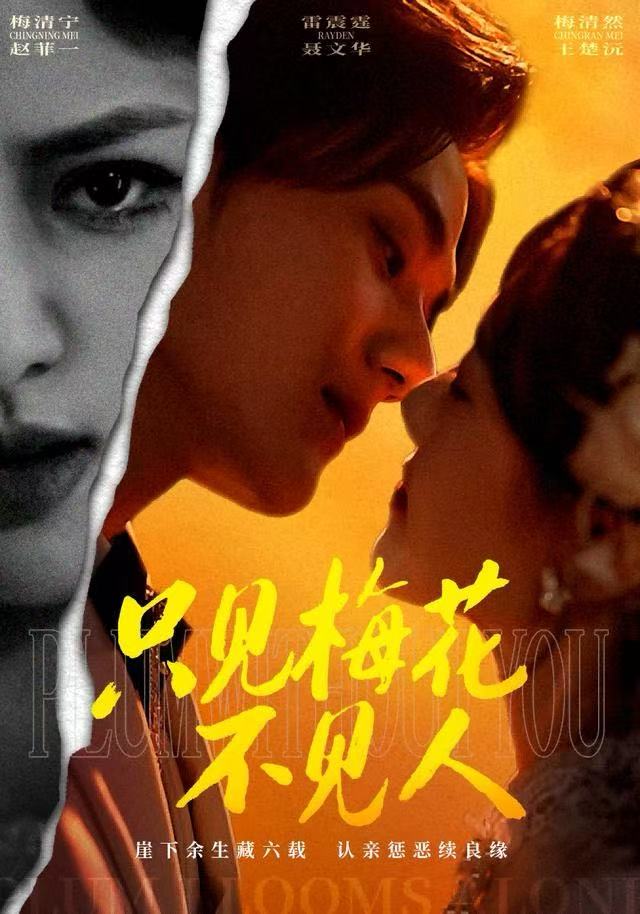 只见梅花不见人